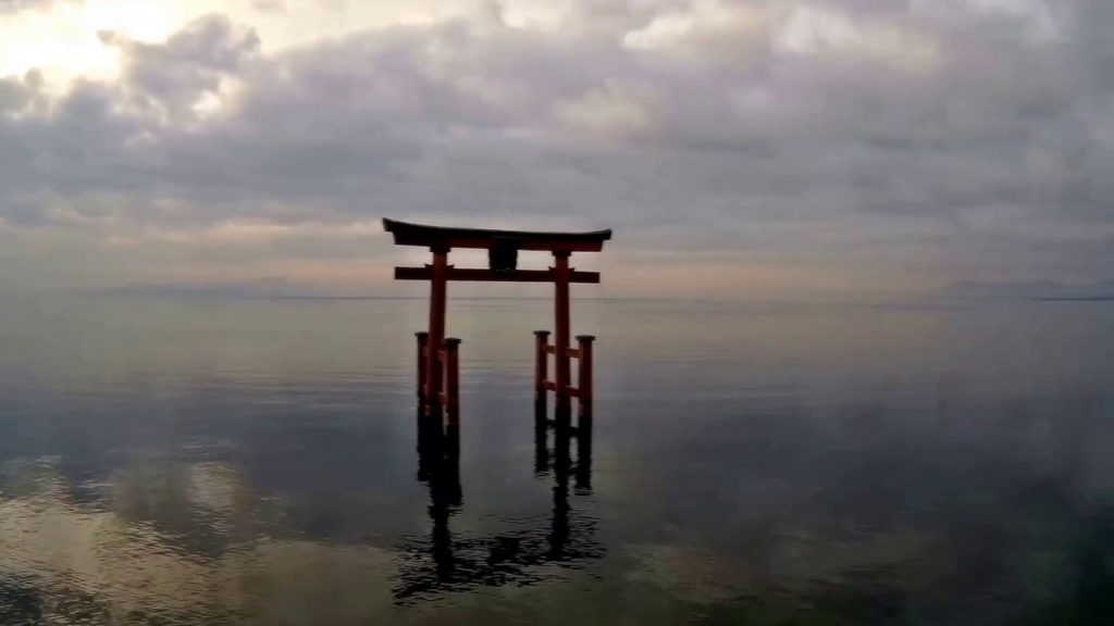 飛。日本 滋賀縣 高島市 白鬚神社