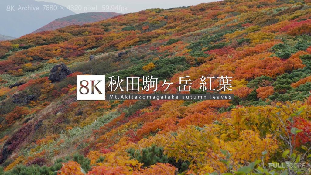[8K footage] Mt.Akitakomagatake autumn leaves [秋田駒ケ岳 Vol.1 紅葉_8K]