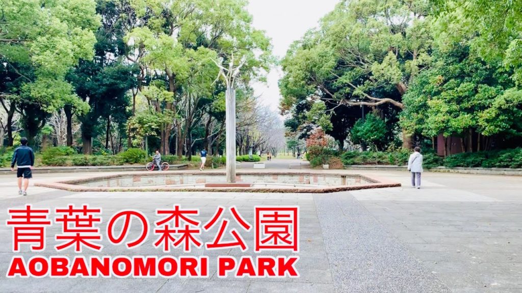 JAPAN WALKING TOUR: around Aobanomori park 青葉の森公園 Chiba City 千葉市