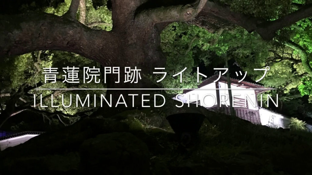 KYOTO Illuminated Shorenin Spring KYOTO Illuminated Shorenin Spring