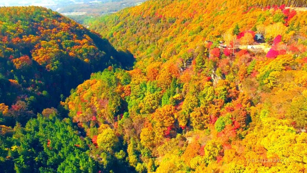 Drone Japan 4k 絶景 ドローン 空撮映像 蓼科高原 紅葉 横谷渓谷 御射鹿池～横谷観音展望台～王滝～おしどり隠しの滝 Autumn Tateshina   DJI PHANTOM4