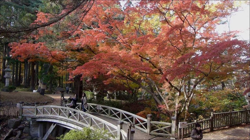 2019.11.10 函館の景勝地　見晴公園･香雪園　はこだてMOMI-Gフェスタ最終日の紅葉