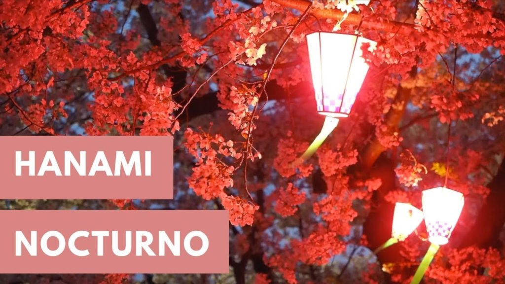 DE HANAMI NOCTURNO POR NAGOYA