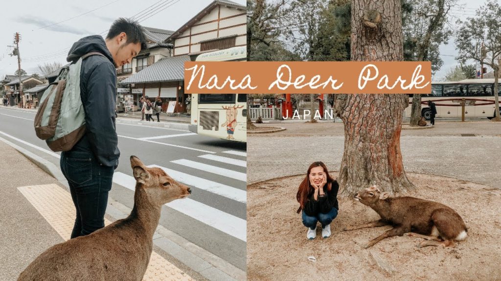 Nara Deer Park + Todaiji Temple  (Polite Deers & Big Buddha) 🇯🇵 | TRAVEL VLOG