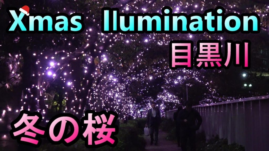 【旅Vlog】目黒川 ~冬の桜~【イルミネーション2019】 【旅Vlog】目黒川 ~冬の桜~【イルミネーション2019】