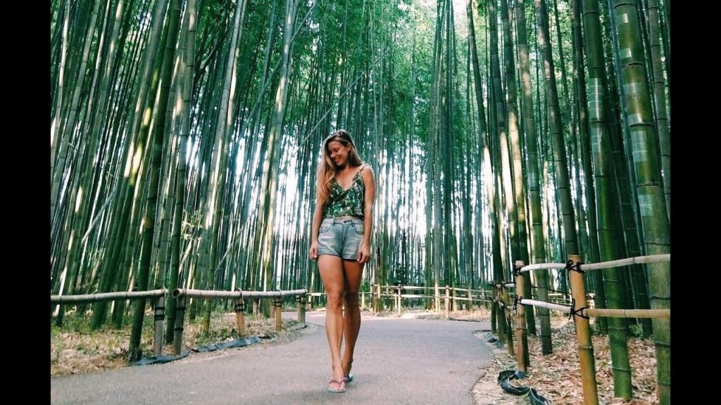 Viajar a Japón: Kyoto en tres días