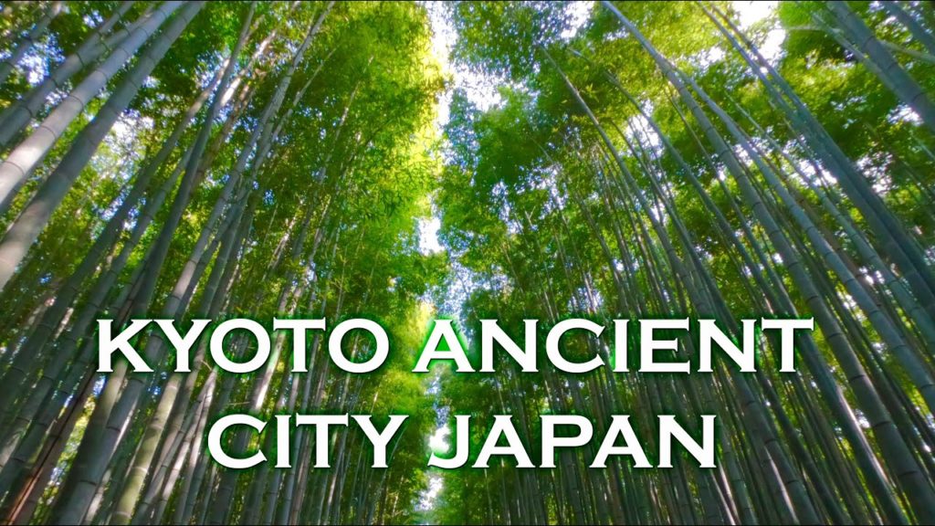 EXPLORING KYOTO JAPAN | Kameyama Park, Sagano Bamboo Forest, Ryoanji Temple