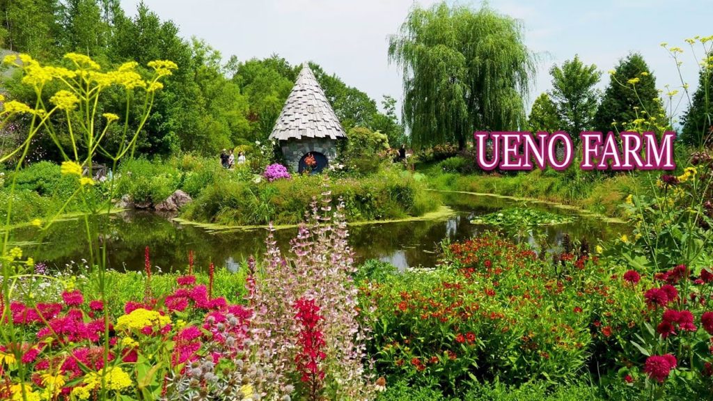 HOKKAIDO.  Ueno Farm - created by Ms.Sayuki Ueno. #4K #上野ファーム