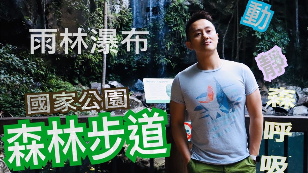 天寶林國家公園森林步道Curtis Falls/澳洲旅遊黃金海岸Gold Coast-布里斯本Brisbane必去景點【麥哥遊記】