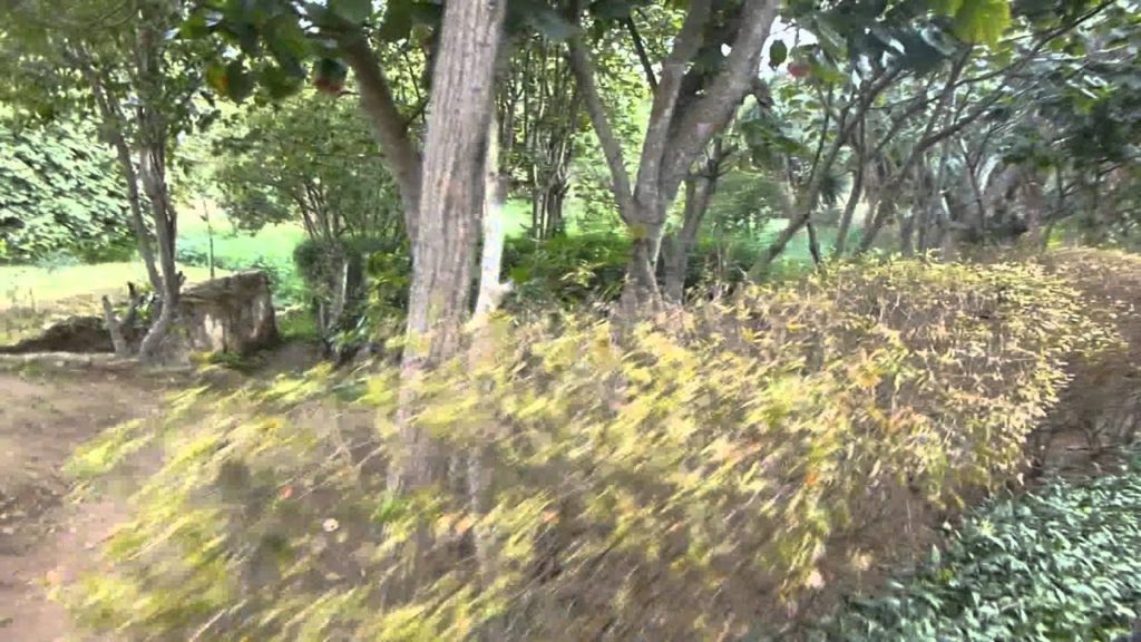 Mike in Sendai: Trip to Morocco