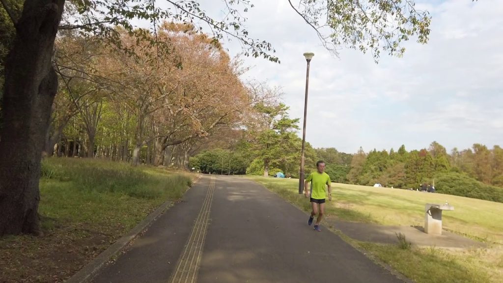 [Yokohama JAPAN WALKing]Negishi forest park 根岸森林公園を散歩