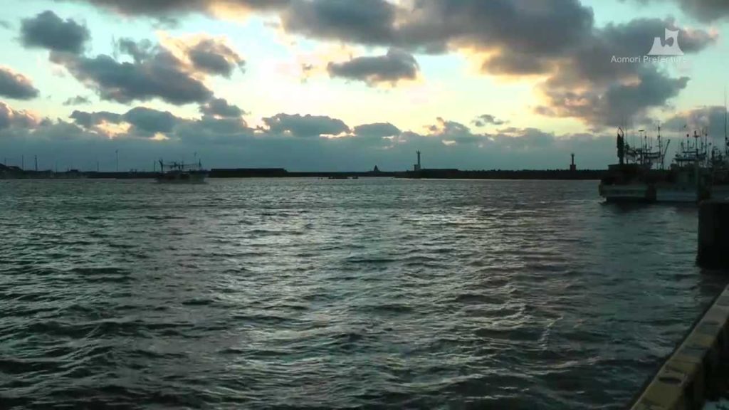 大間のマグロ - 漁港 - 0231A