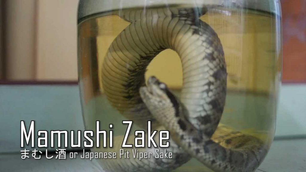 Snake Booze [Mamushi Zake] (It's not Sushi 05)