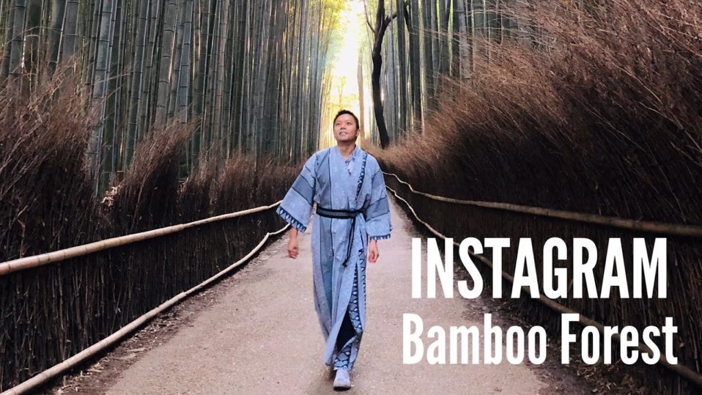 Vlog #20 I The most INSTAGRAMMABLE location in Kyoto!