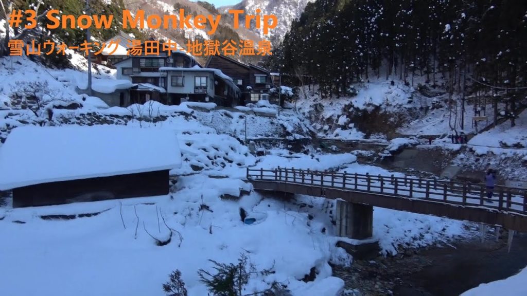 NAGANO Trip#3 Snow Mountain Walk(雪山ウォーキング) 1/19 10:50