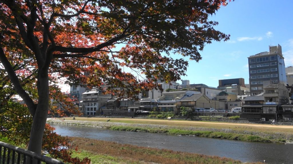 【4K】Autumn leaves Kamo river 201911/08②  鴨川 紅葉の様子 - 京都 | Japan Kyoto walking guide