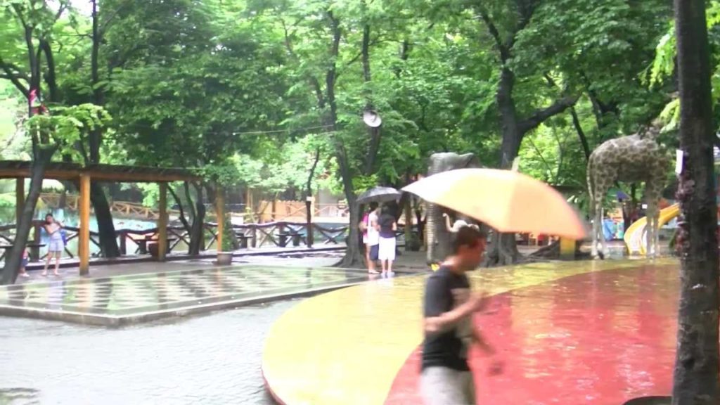 アキーラさん散策！フィリピン・マニラ動物園3,Manila-Zoo,Philippines