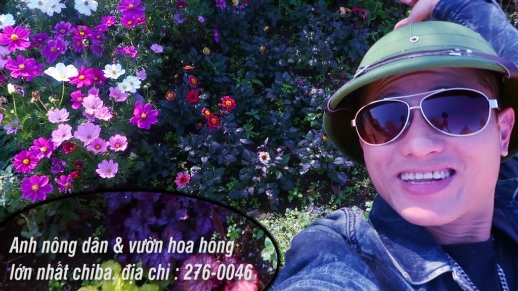 đến tokyo bạn nhất quyết phải tới đây I nhật ký anh nông dân và chiba I tokyo - chiba