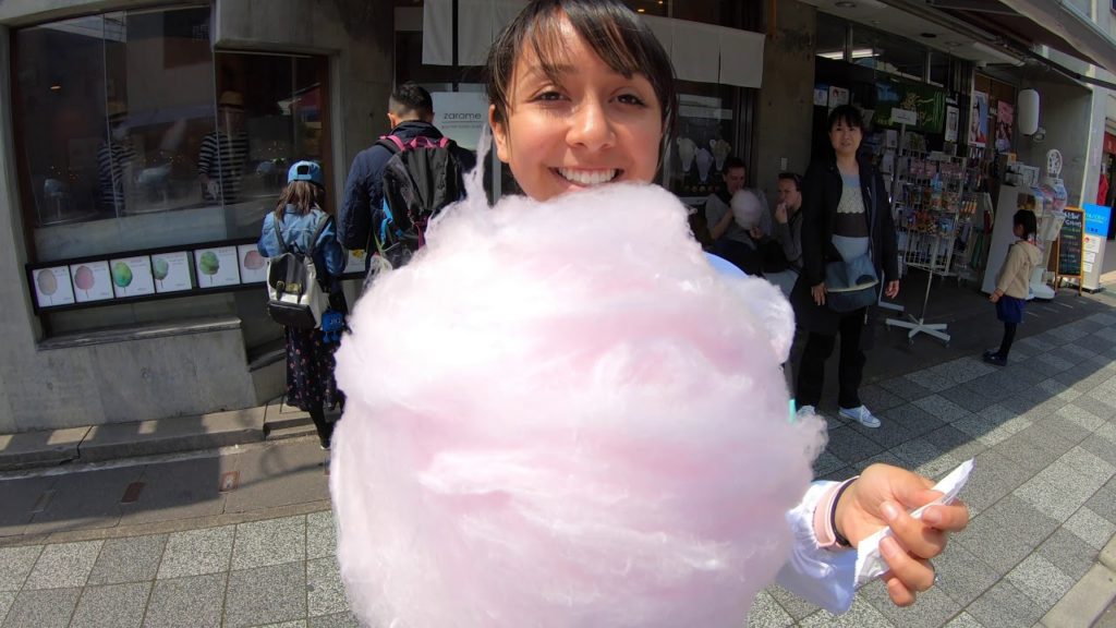 Kyoto Japan Travel Video 京都