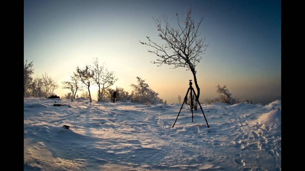 The winter photography workshop