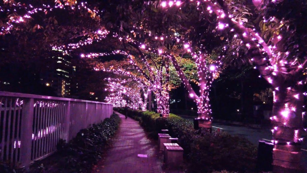 4K 目黒川イルミネーション2019 Night Walk in Meguro River