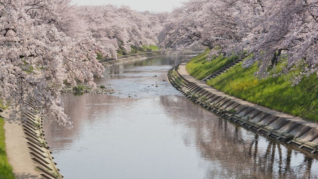 HOT NEWS Kakamigahara 2017 Best Of Kakamigahara Japan Tourism HOT NEWS Kakamigahara 2017 Best Of Kakamigahara Japan Tourism