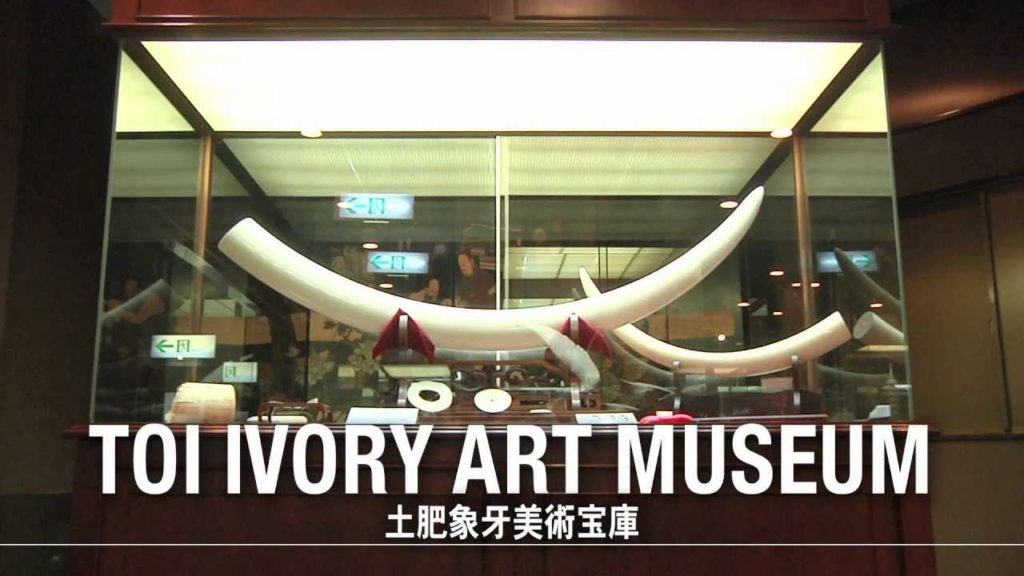 JAPAN [IZU] COOL! PLEASE COME AND VISIT IZU CITY AUTUMN 2011 Video インバウンド伊豆市