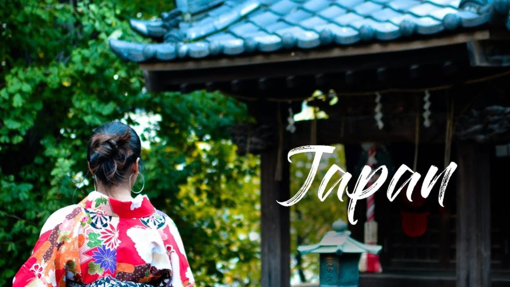Japan Travel Diary 2019 | Tokyo, Kyoto and Mt. Fuji