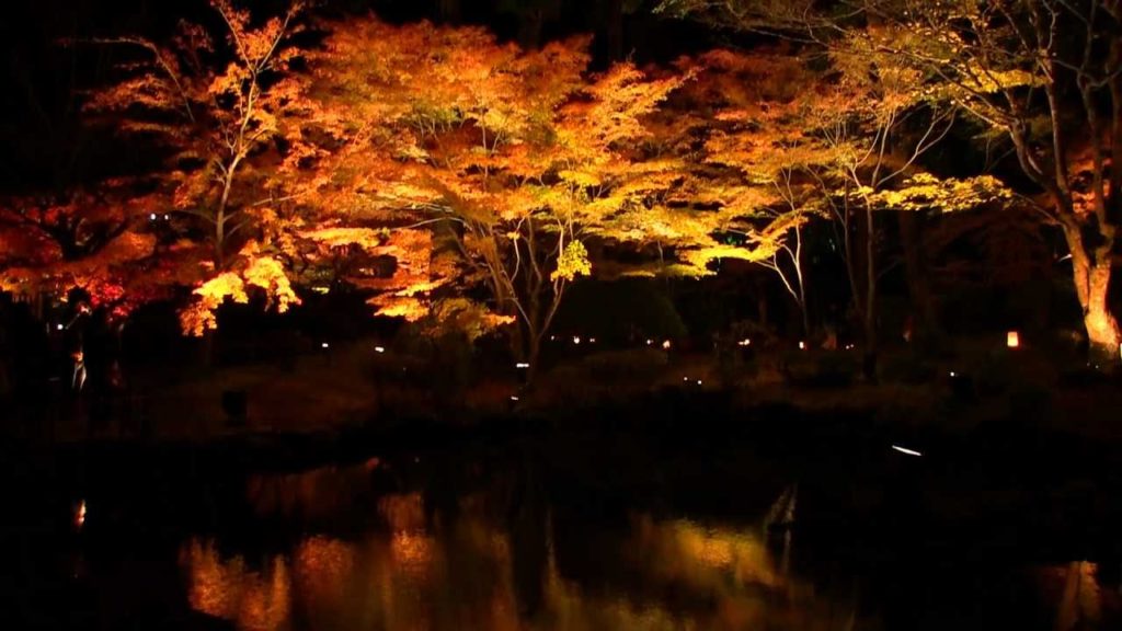 Matsushima Entsuuin 日本三景松島 円通院庭園の風景 紅葉ライトアップ Autumn Colors Light up at Tohoku Japan