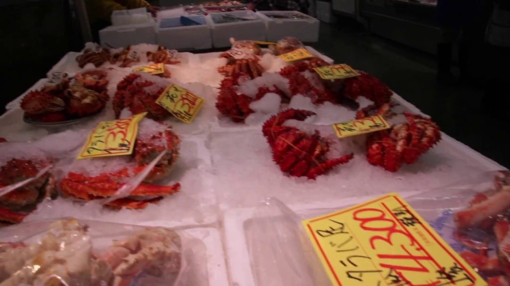 Welcome to SnowLand! Kushiro, Hokkaido, Japan! A rail trip around Hokkaido to the Snow Festival!