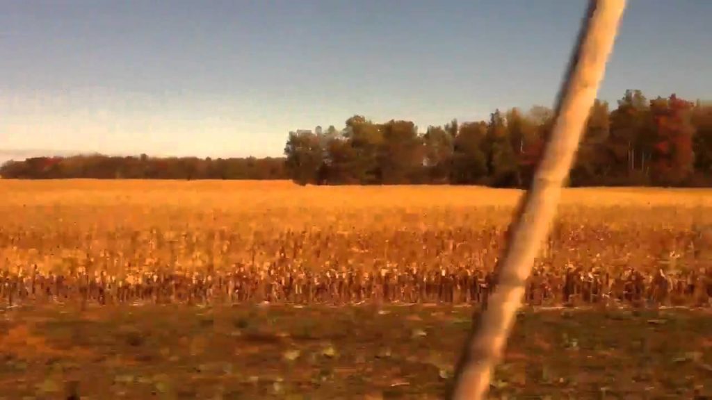 Beautiful Fall Train Ride on South Shore RR Beautiful Fall Train Ride on South Shore RR