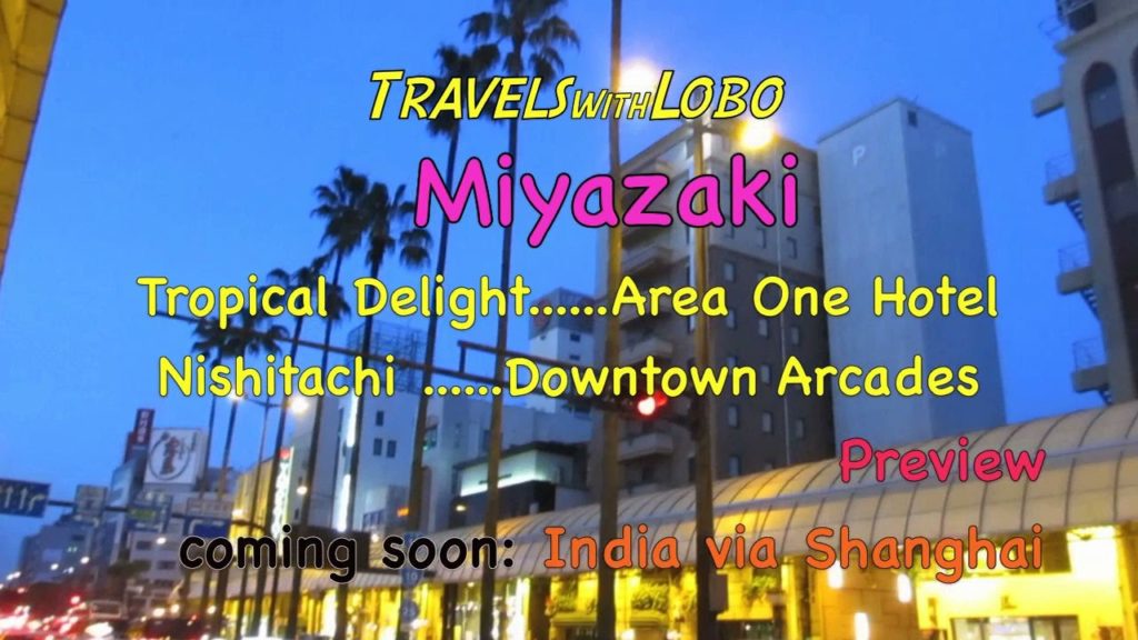 Miyazaki, Japan - World's Tallest Palm Trees?