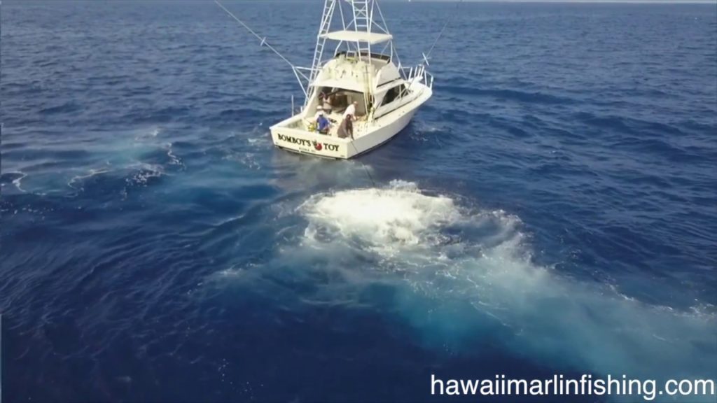 Hawaii Marlin Fishing in Kona