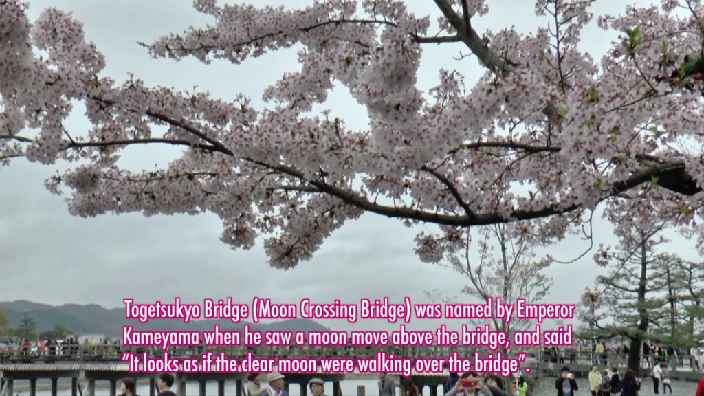 YOKOSO Japan Tour -- Cherry Blossoms at Kyoto - Arashiyama (京都·嵐山的櫻花) --E38