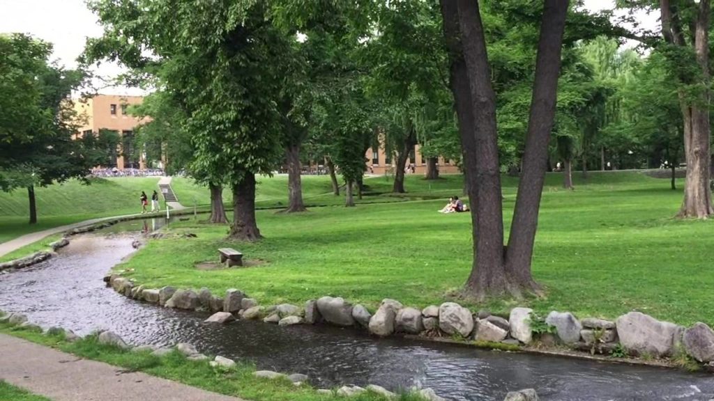 Hokkaido University Central Lawn