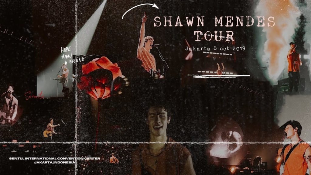 SHAWN MENDES THE TOUR JAKARTA 2019 !!! II FRONTROW (HD)