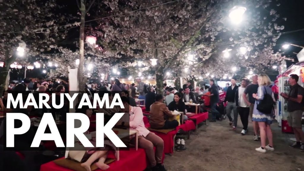 Maruyama Park, Kyoto Cherry Blossoms and Street Food Tour | VEDA Day 7 | Japan Vlog 47 | Lin Nyunt