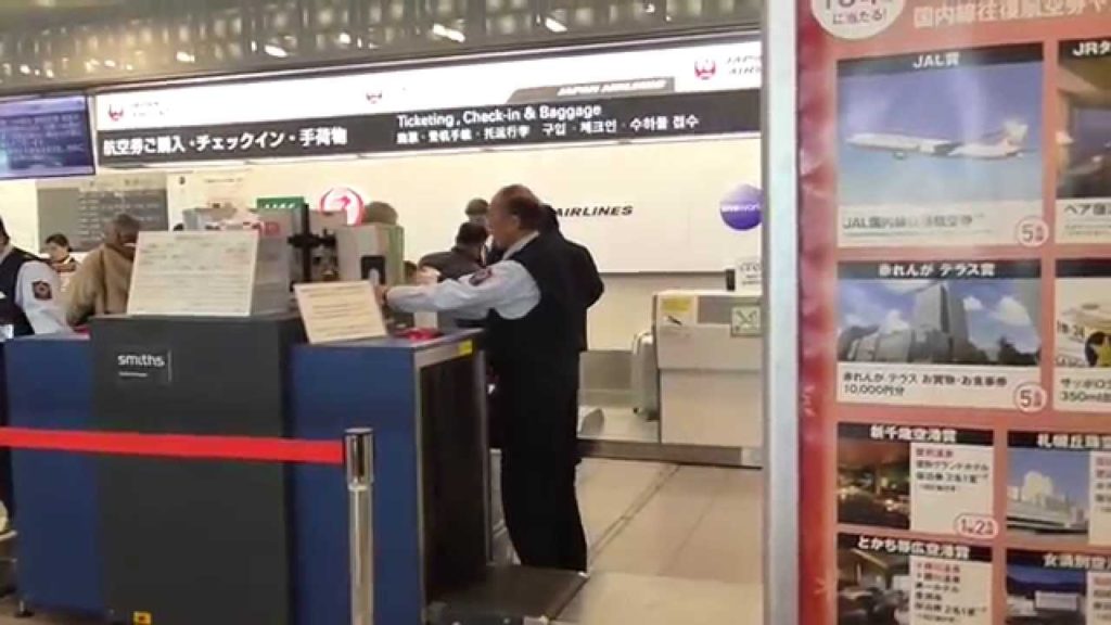 JAL Economy 737-800:  Kushiro, Hokkaido to Tokyo Haneda Airport