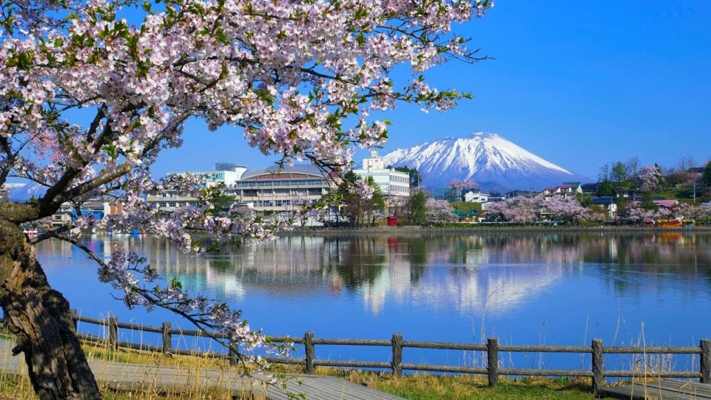 [ 4K UHD ]岩手山を望む「高松の池」と満開の桜 （盛岡高松公園）'Takamatsu-no-ike' with Cherry Blossoms against Mt.Iwate