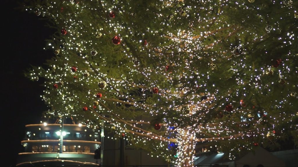 神戸のクリスマス Xmas of Kobe SEL35F18+NEX-VG20 Night view