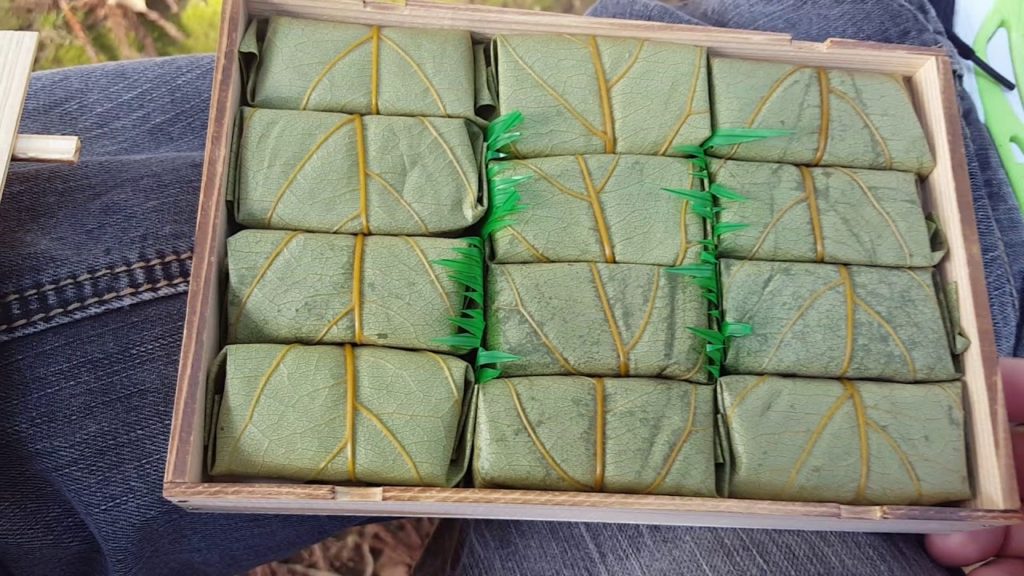 Awesome Sushi and Friendly Deer