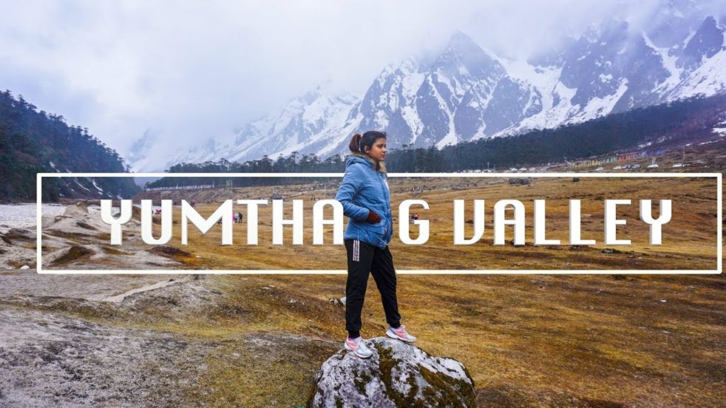 -2 in Summer | Yumthang Valley | North Sikkim Road Trip 2019