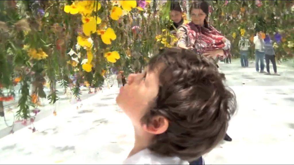 Japan | Floating Flower Garden in Tokyo | Miraikan