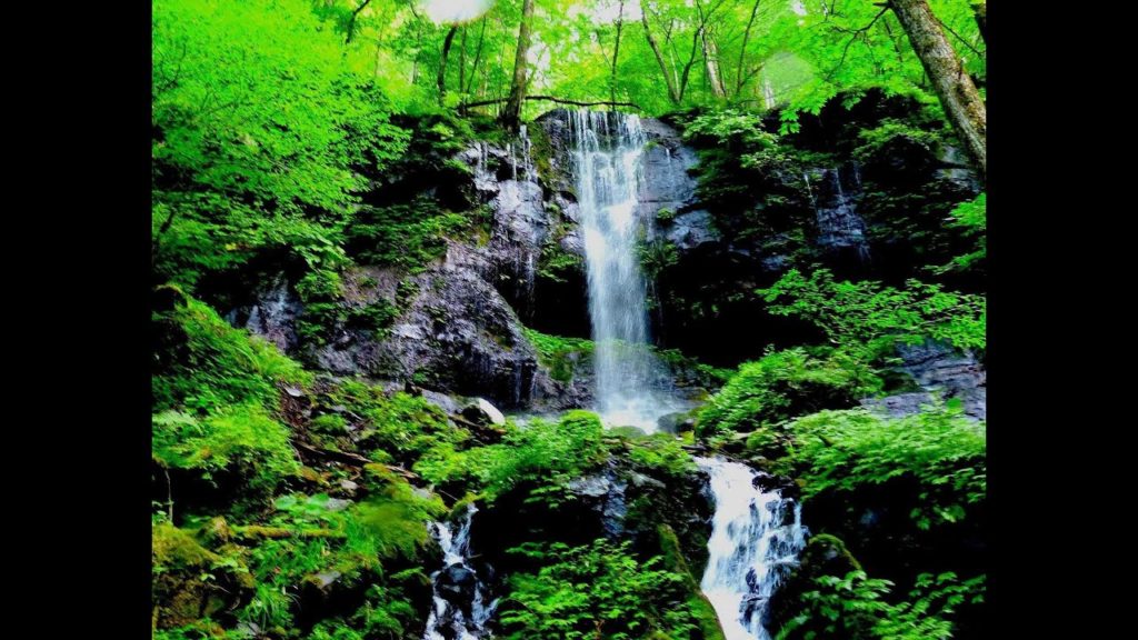 ［HD］癒される美しい森の滝　栃木県の那須のスッカン沢の素連（それん）の滝　Soren waterfall in Nasushiobara　那須観光　花の名所案内