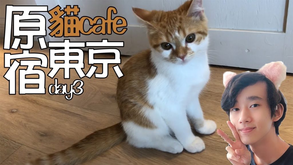 【東京VLOG】原宿貓cafe! 超好食吉列牛! lovelive聖地潮聖!day3