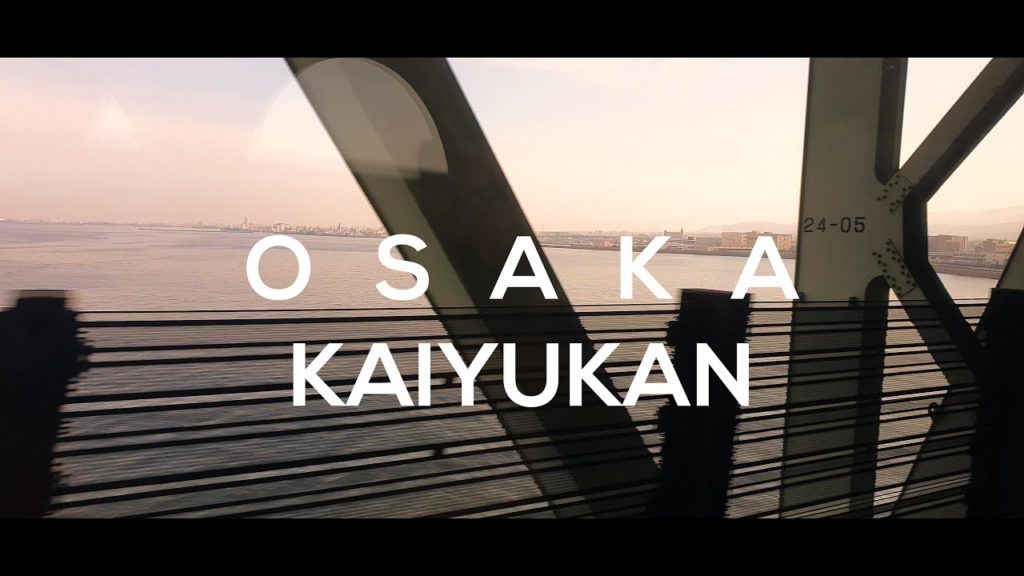 OSAKA | Aquarium x Kaiyukan - 04.11.2019 | Travel Cinematic Video [ 4K ] | Shot on Note 10+ | JAPAN