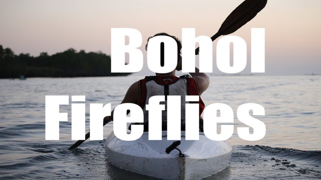 Bohol Fireflies, Philippines  | Canon HD | Virtual Trip