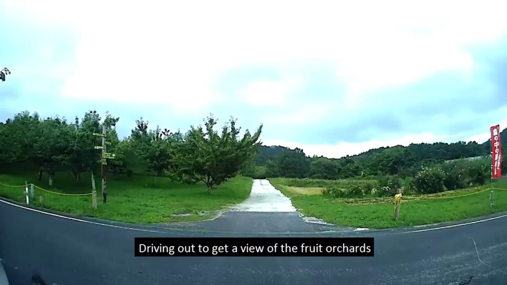 Self drive trip to Morino Nakano Fruit Farm (森の中の果樹園) in Aomori