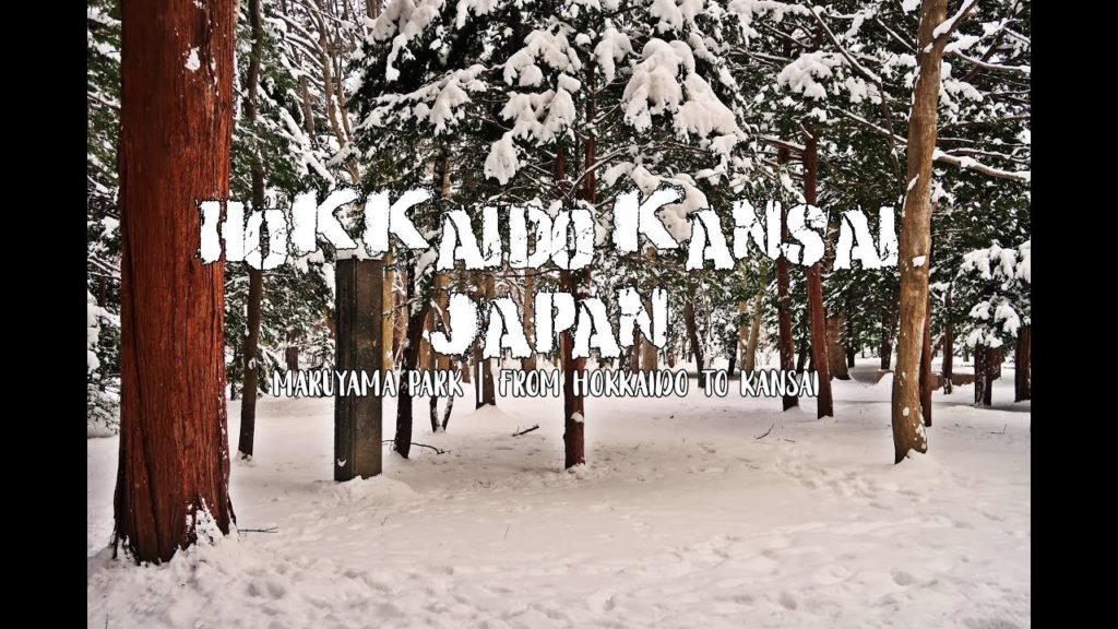 JAPAN HOKKAIDO KANSAI : SAPPORO MARUYAMA PARK + FROM HOKKAIDO TO KANSAI