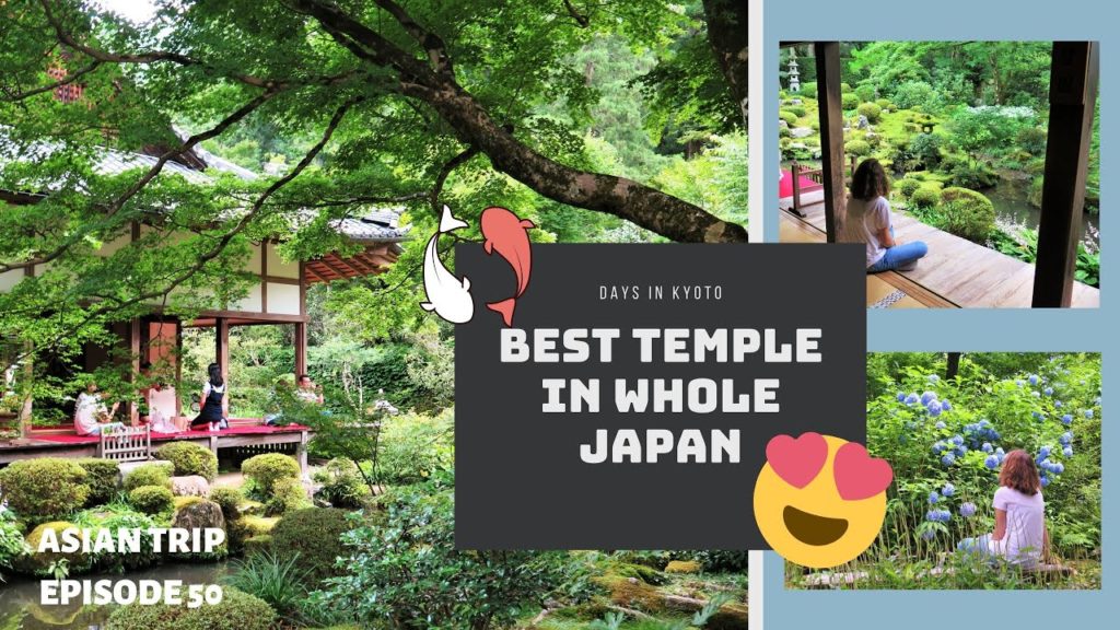 Japan Vlogs – Episode 25 : Kyoto, Kinkaku-ji, Ginkaku-ji, Sanzen-in Japan Vlogs - Episode 25 : Kyoto, Kinkaku-ji, Ginkaku-ji, Sanzen-in